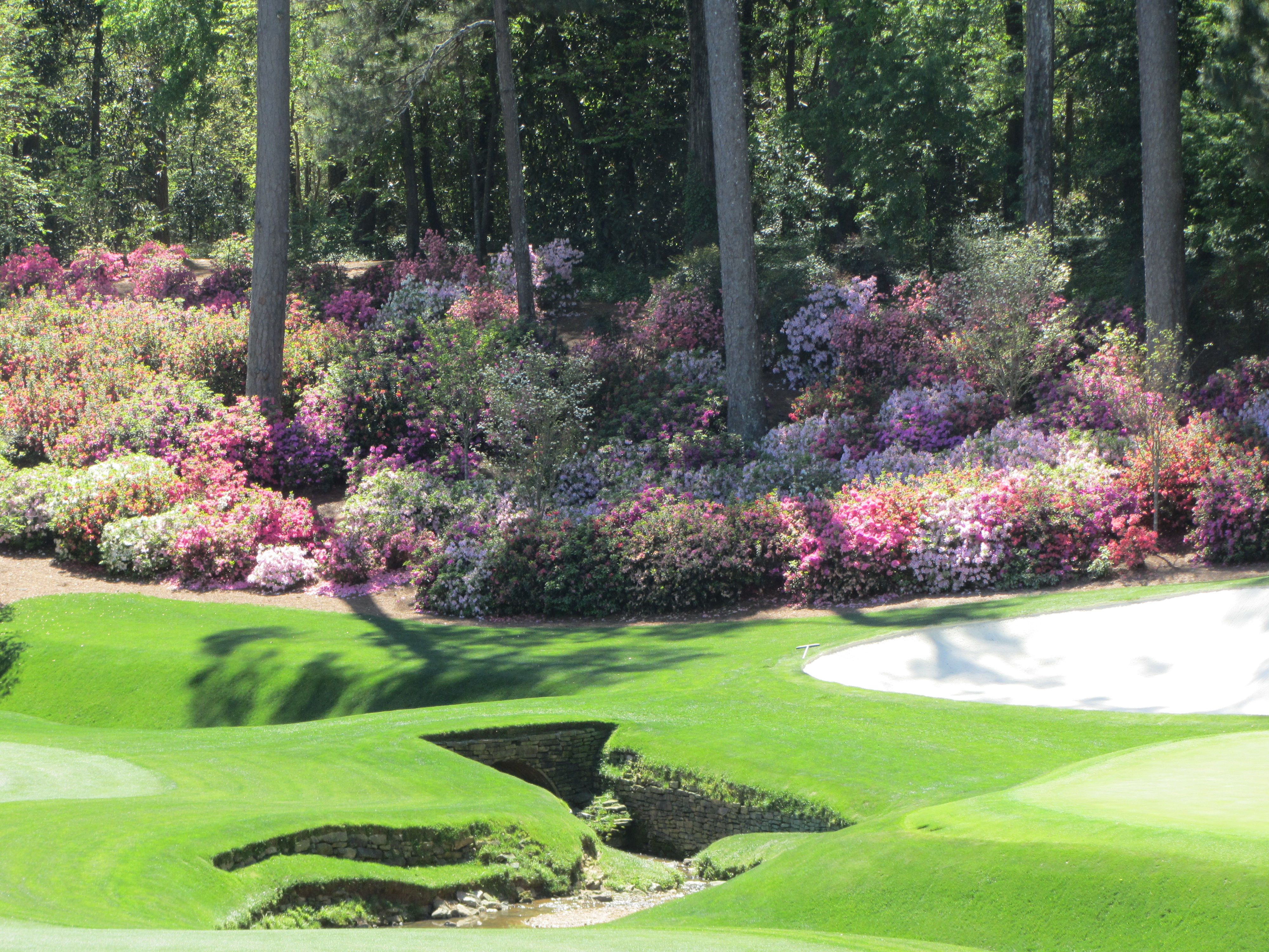 Masters Tournament, Augusta, GA