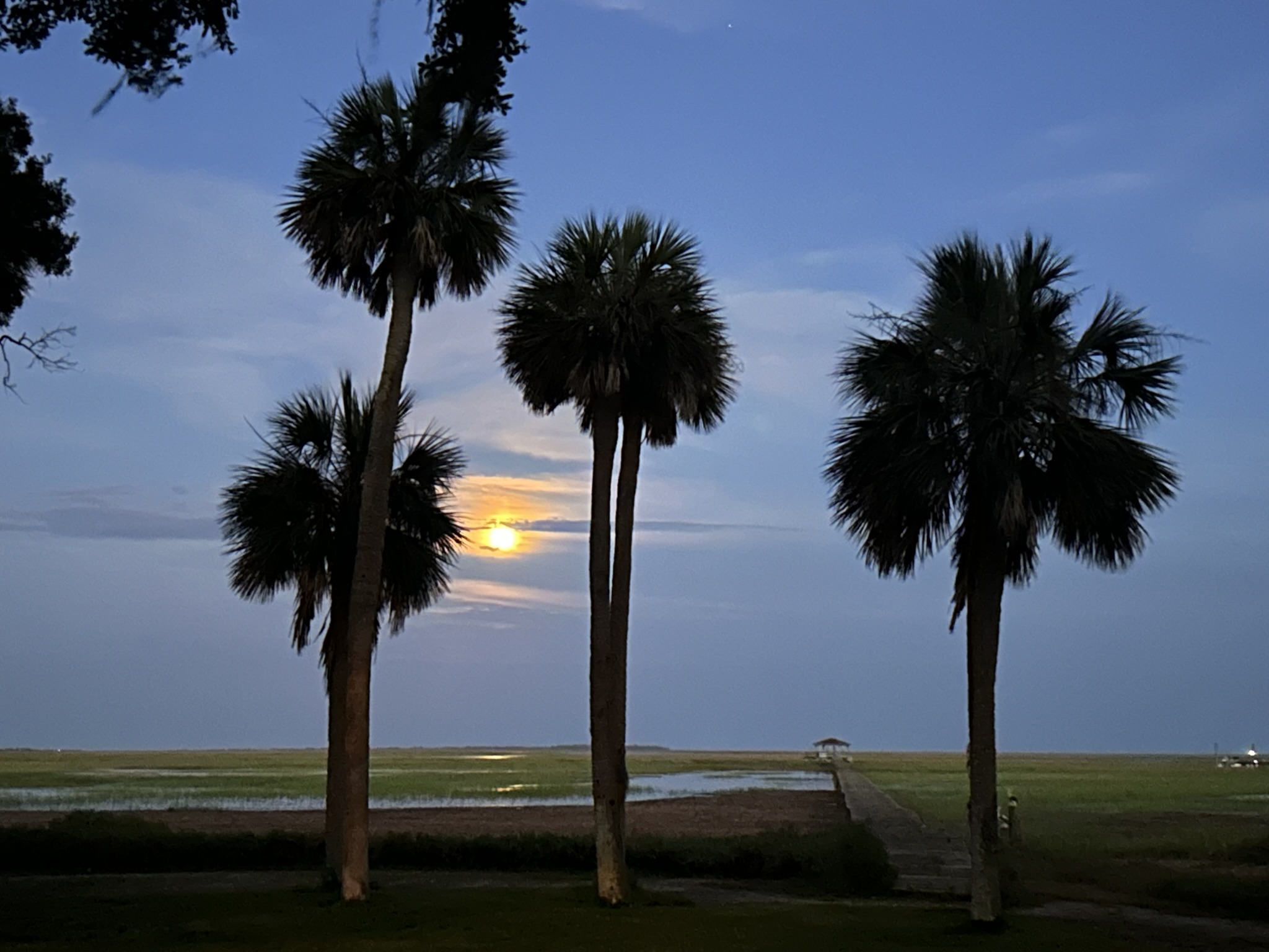 May home on Wilmington River