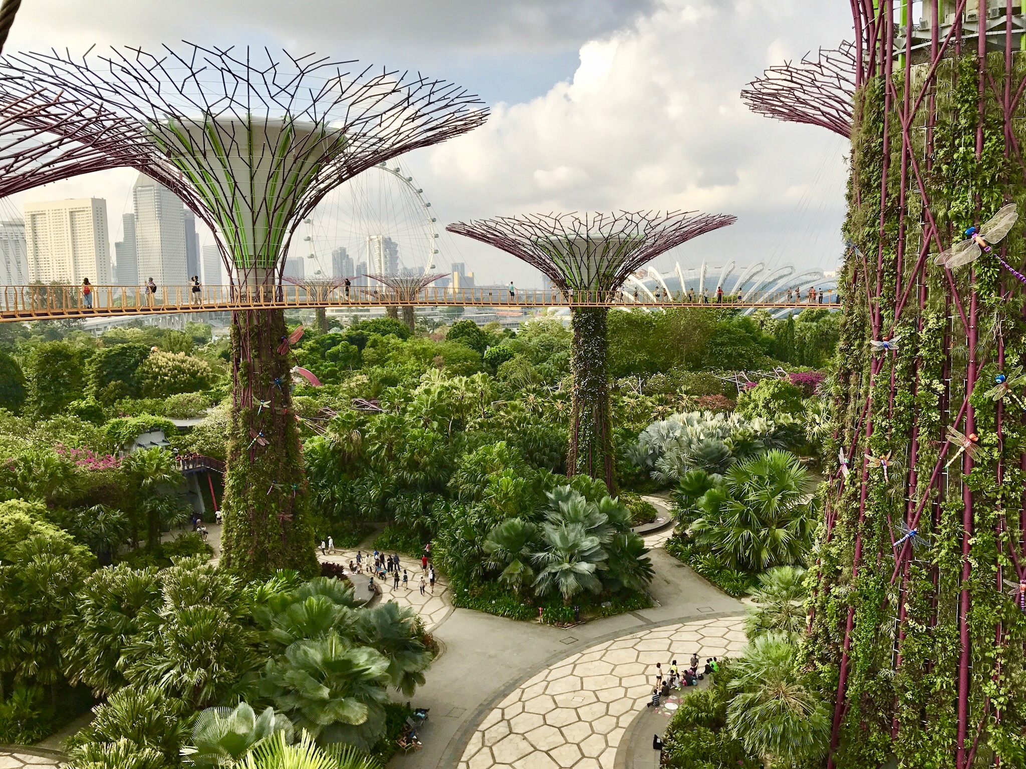 Supertrees, Singapore