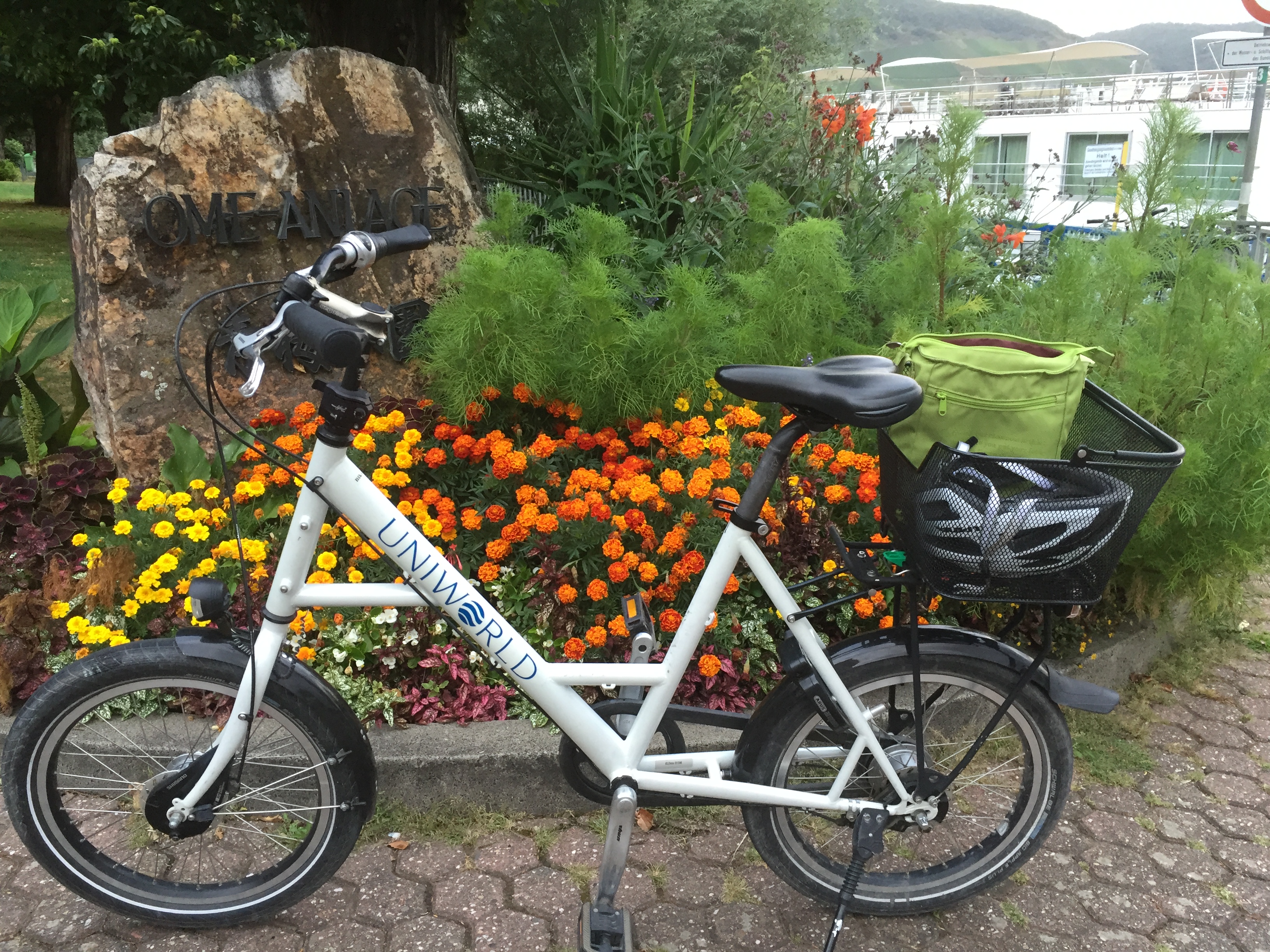 Ride along the Rhine River
