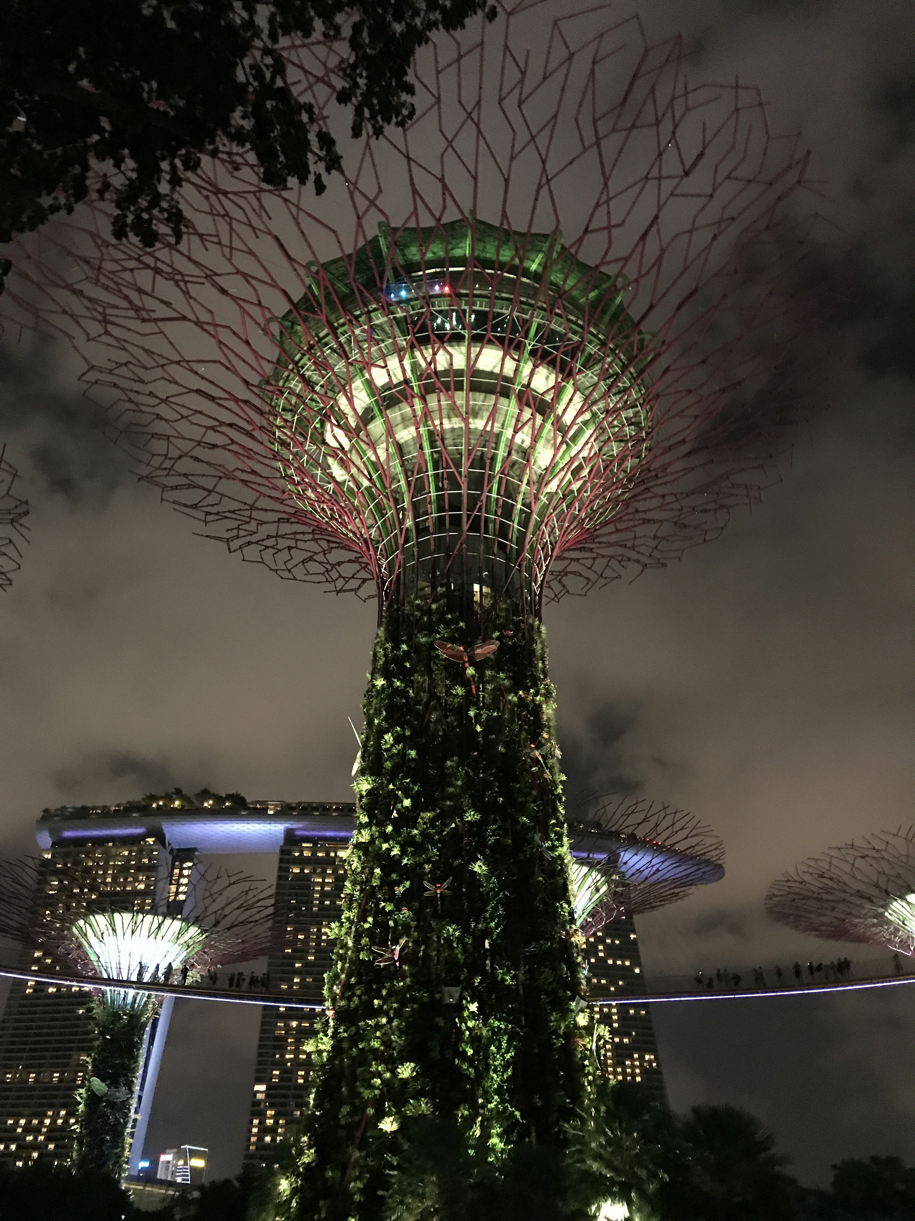 Supertrees, Singapore